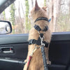 Retractable Pet Seat Belt